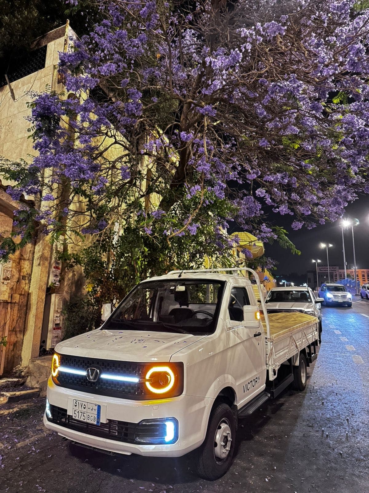 شاحنات فيكتوري تحت أشجار الجاكاراندا البنفسجية في أبها